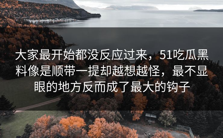 大家最开始都没反应过来，51吃瓜黑料像是顺带一提却越想越怪，最不显眼的地方反而成了最大的钩子